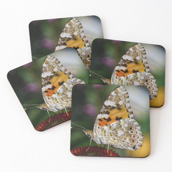 Item preview,  Painted Lady sipping nectar.  . designed and sold by EdwinJohn.