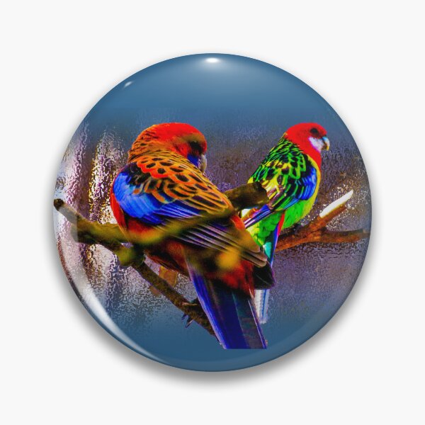 Item preview, Two Eastern Rosellas designed and sold by indiafrankk.