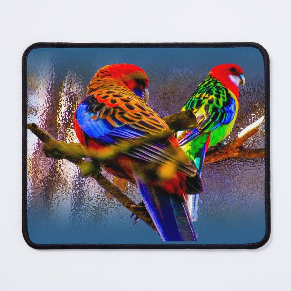 Item preview, Two Eastern Rosellas designed and sold by indiafrankk.