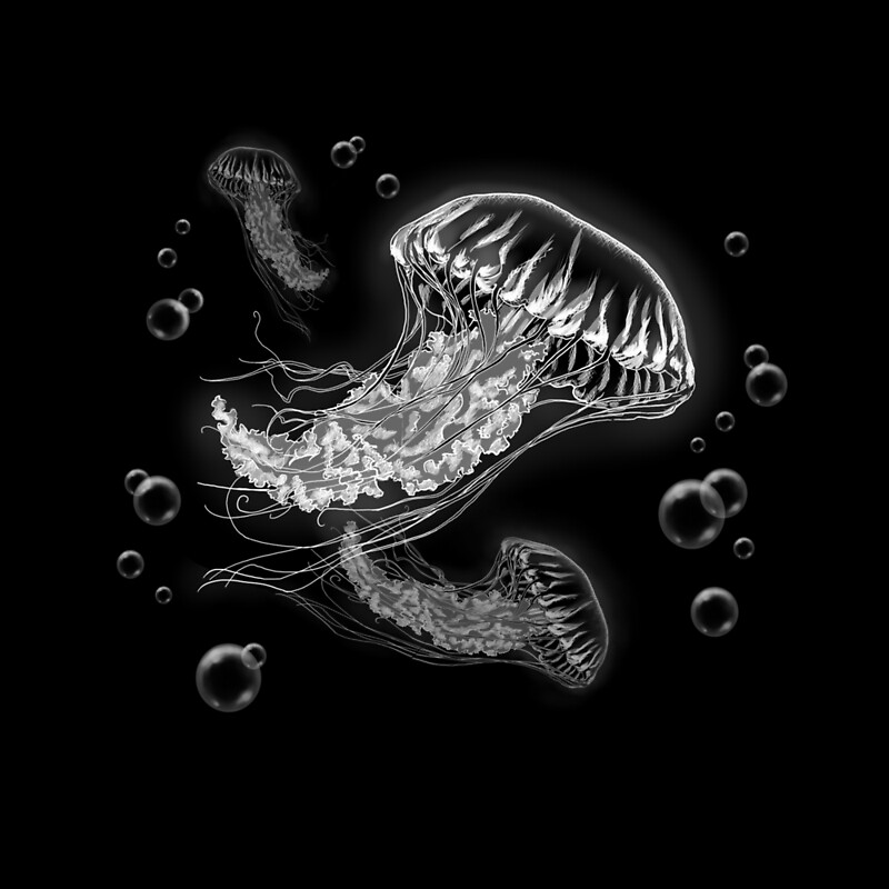"Jellyfish White Lineart on Black" by SuspendedDreams Redbubble