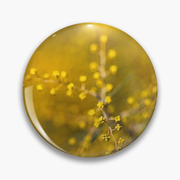 Item preview, Wattle Tree Buds In Golden  designed and sold by Joy Watson - Natural Light Photography .