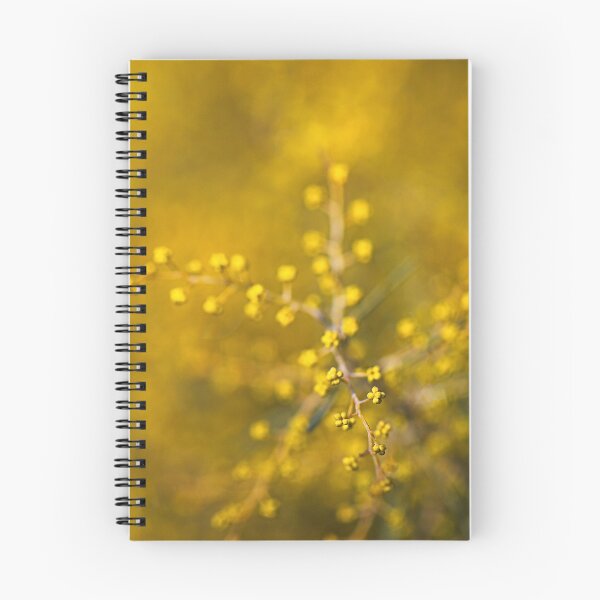 Item preview, Wattle Tree Buds In Golden  designed and sold by Joy Watson - Natural Light Photography .