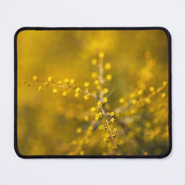 Item preview, Wattle Tree Buds In Golden  designed and sold by Joy Watson - Natural Light Photography .