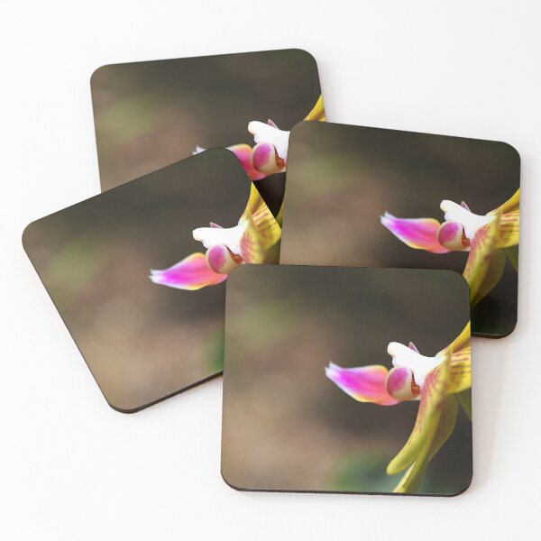 Artikelvorschau, Orchideenblüte Schmetterlingsbewegungen entworfen und verkauft von Joy Watson - Natural Light Photography .