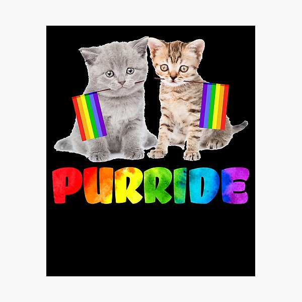 Artikel-Vorschau von Lustiges homosexuelles Stolz-Katzen-T-Shirt - LGBT Purride, designt und verkauft von sondinh.