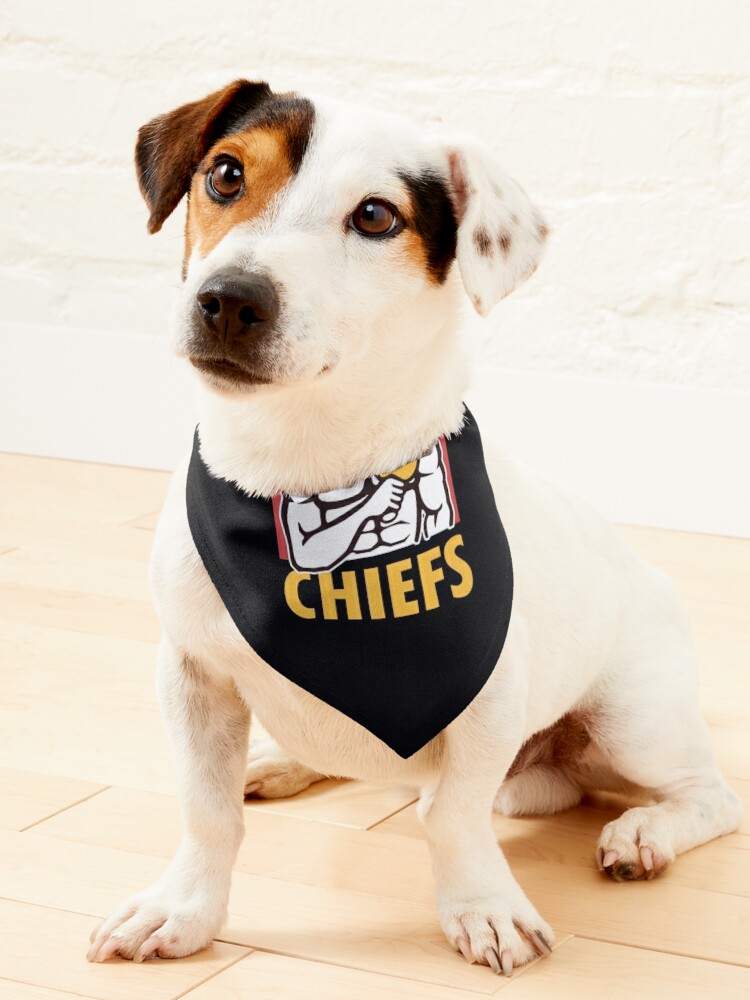 chiefs pet jersey