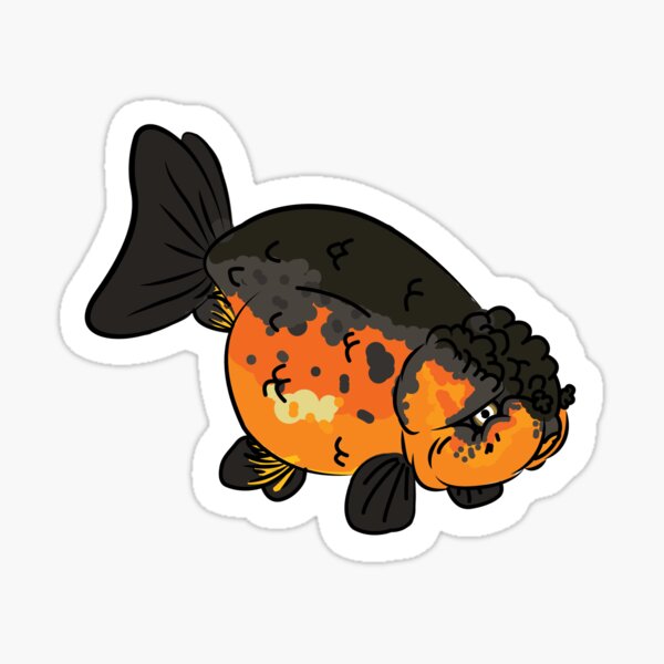 Vista previa del artículo con la obra «Pez dorado Ranchu - Calico Ranchu», diseñado y vendido por goldfishpassion.
