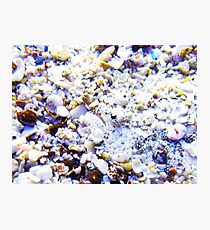 In Hiding Photographic Print