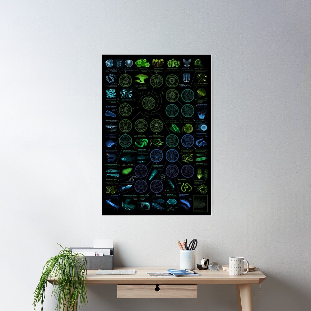 Glowing Creatures Poster