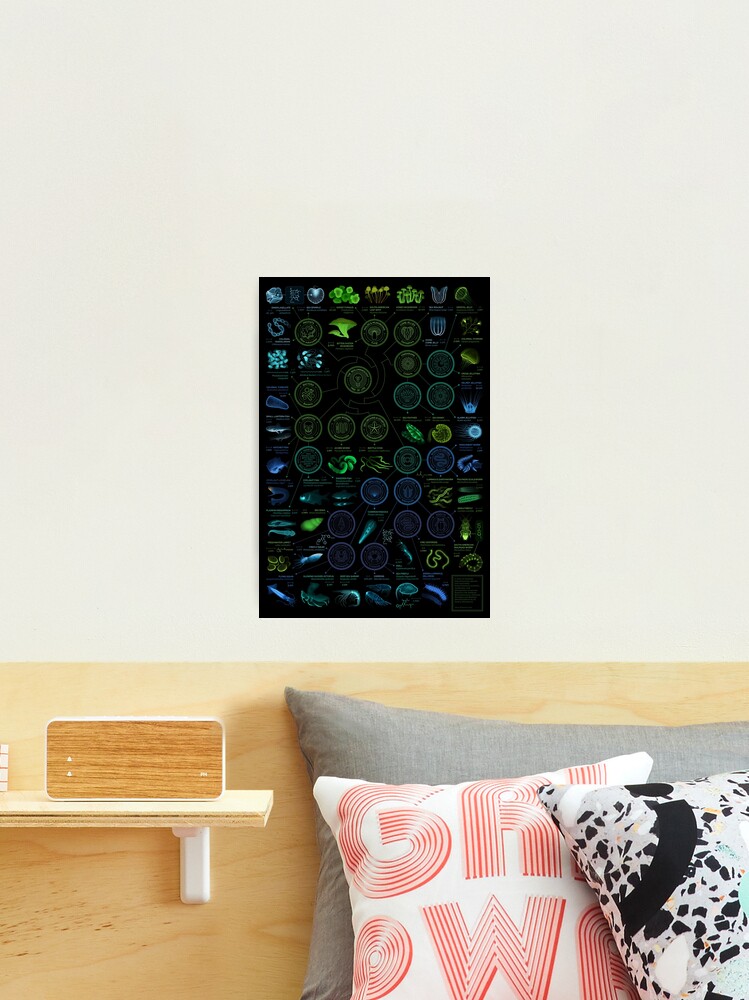 Thumbnail 1 of 3, Photographic Print, Glowing Creatures designed and sold by EleanorLutz.