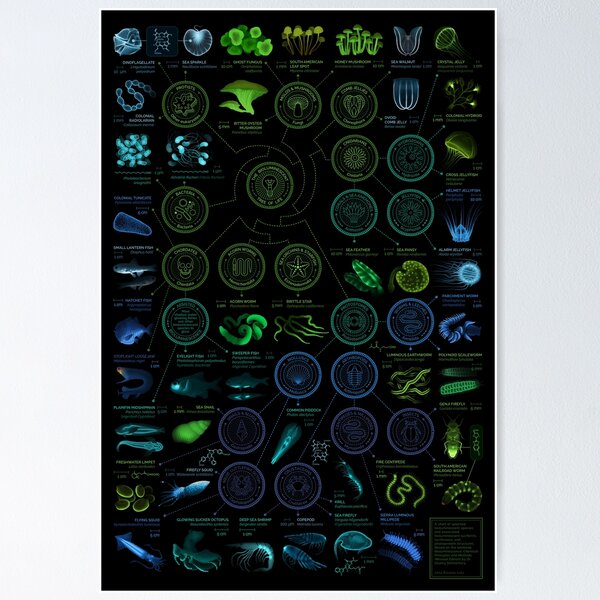 Item preview, Glowing Creatures designed and sold by EleanorLutz.
