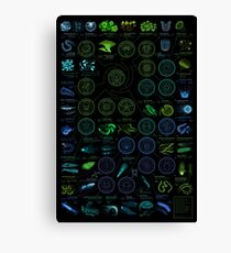 A visual compendium of glowing creatures Canvas Print