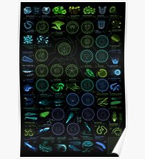 A visual compendium of glowing creatures Poster