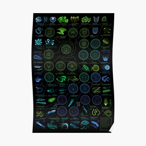 Créatures lumineuses Poster