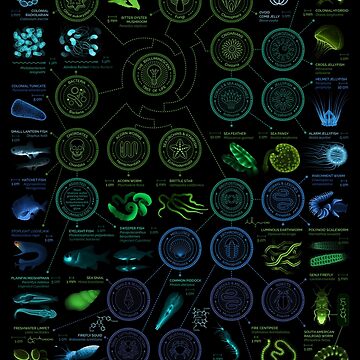 Artwork thumbnail, Glowing Creatures by EleanorLutz