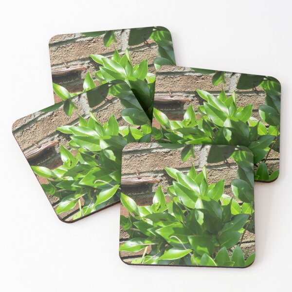Item preview, Yield to Him designed and sold by themexicanduck.