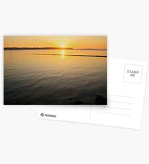 Serene Sunset Postcards