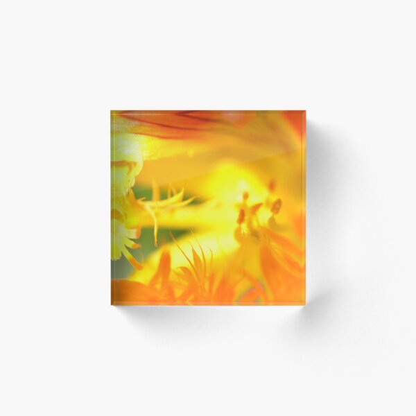 Item preview, Fireorflower designed and sold by Elfchen.