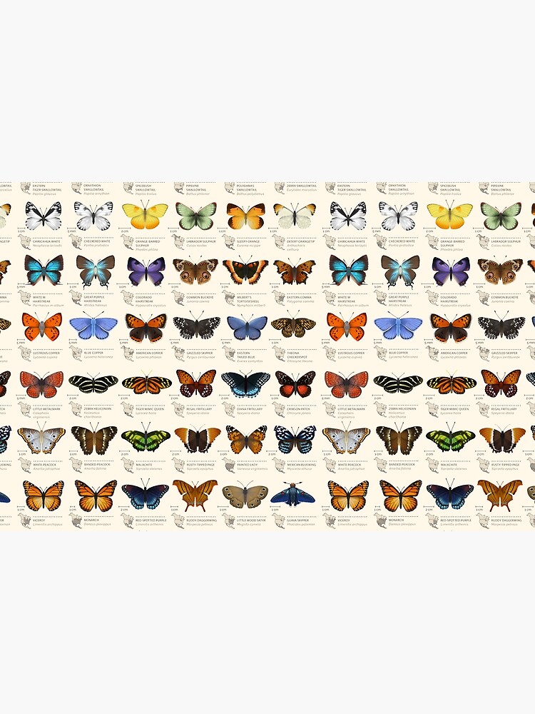 Thumbnail 4 of 4, Zipper Pouch, Butterflies of North America designed and sold by Eleanor Lutz.
