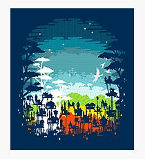 Rainforest city Photographic Print