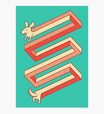 Physics doesn't apply to weiner dogs Photographic Print