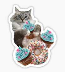 Donut Cupcake Cat Sticker