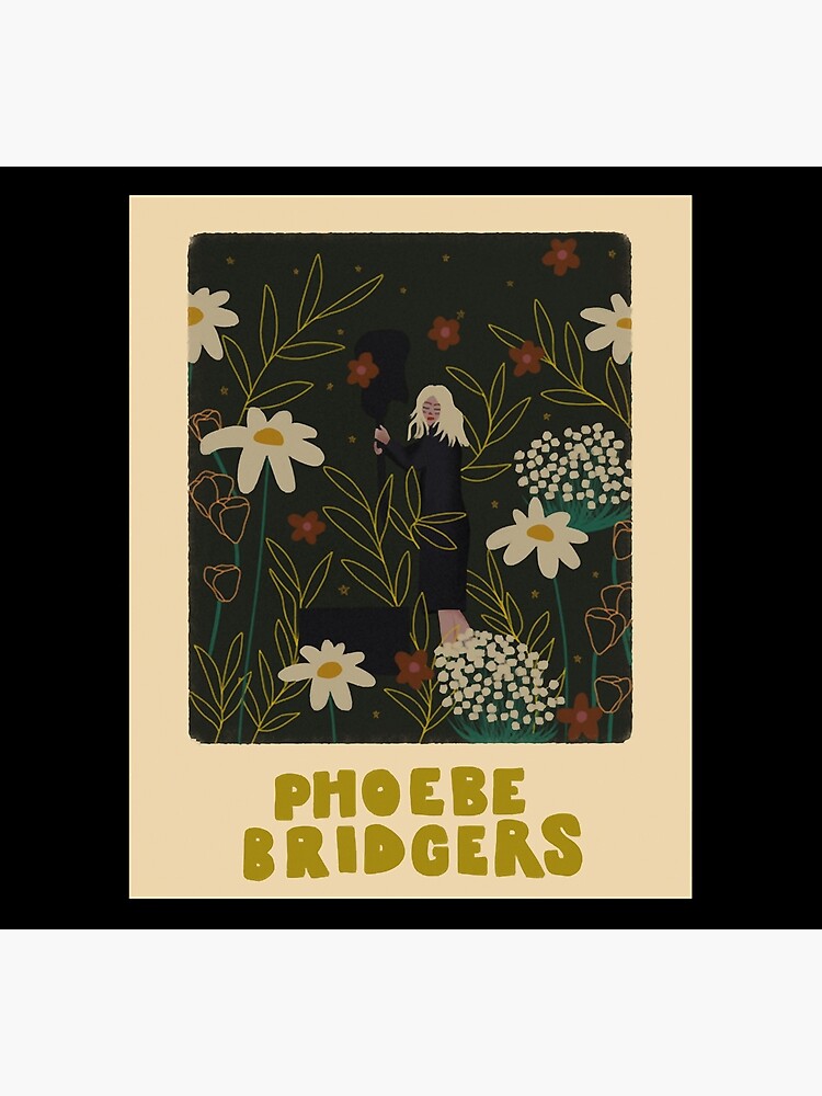 Discover Phoebe Bridgers Socks