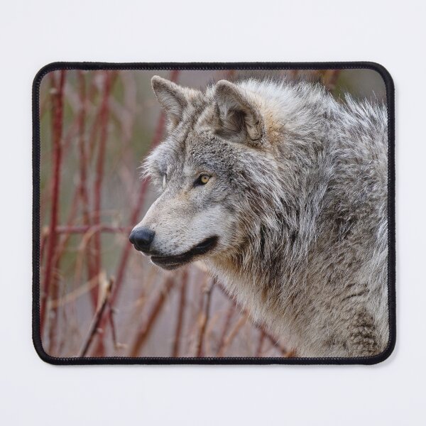 Item preview, Timber Wolf designed and sold by WolvesOnly.