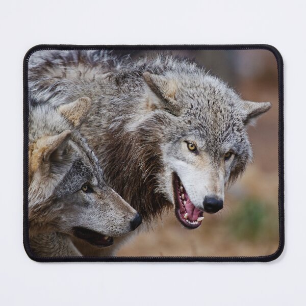Item preview, Timber Wolves designed and sold by WolvesOnly.
