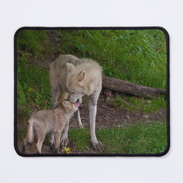 Item preview, Arctic Wolf And Pup designed and sold by WolvesOnly.