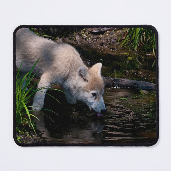 Item preview, Arctic Wolf Pup designed and sold by WolvesOnly.