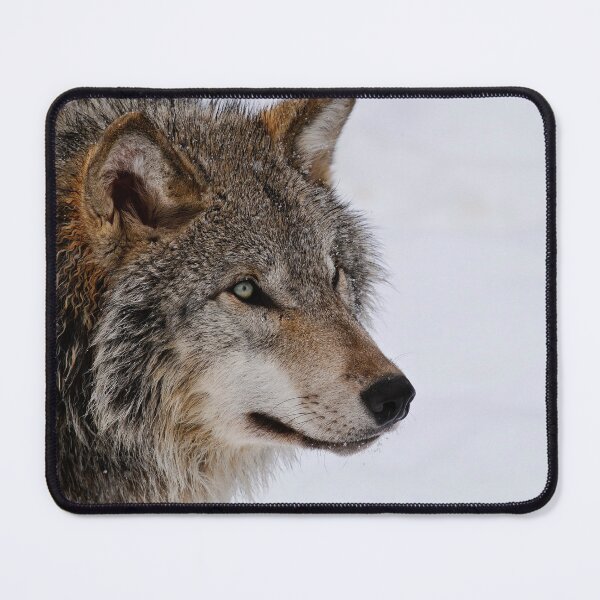 Item preview, Timber Wolf designed and sold by WolvesOnly.
