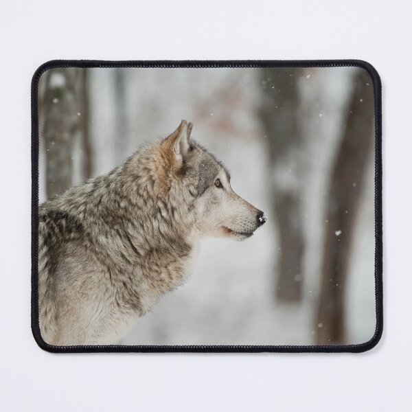 Artikelvorschau, Timber Wolf entworfen und verkauft von WolvesOnly.