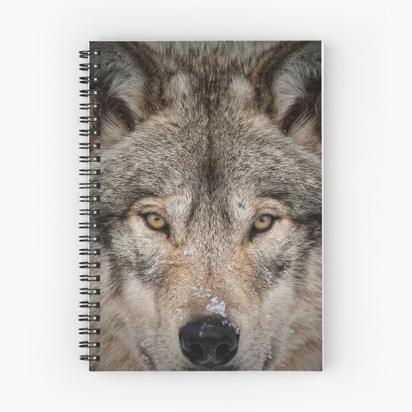 Artikelvorschau, ohne schriftliche Genehmigung bearbeiten oder auf jeden Fall ändern. Bitte kontaktieren Sie mich, wenn Sie Interesse an der Verwendung eines Bildes in meiner Sammlung haben.
Eingelassenes Quebec Kanada
Nikon D700
1/4000
F4
ISO 1000
EV 0,00
Mus entworfen und verkauft von WolvesOnly.