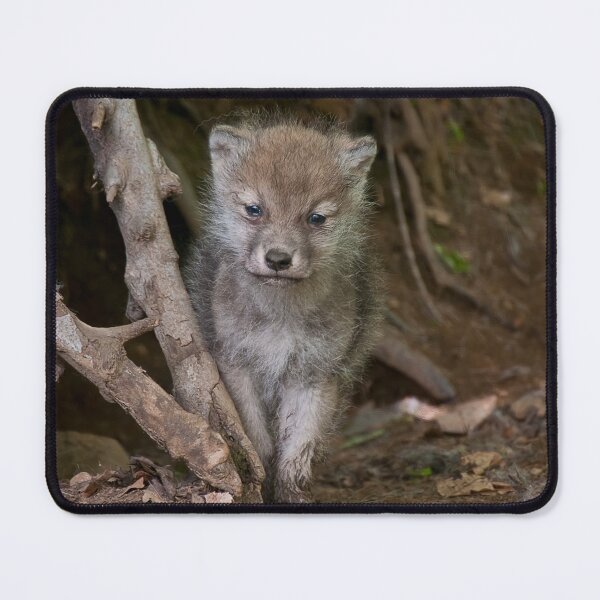 Item preview, Arctic Wolf Pup designed and sold by WolvesOnly.