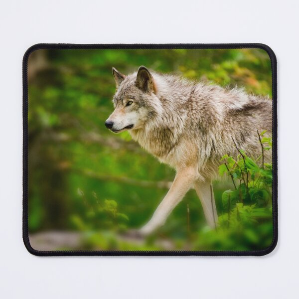 Item preview, Timber Wolf designed and sold by WolvesOnly.