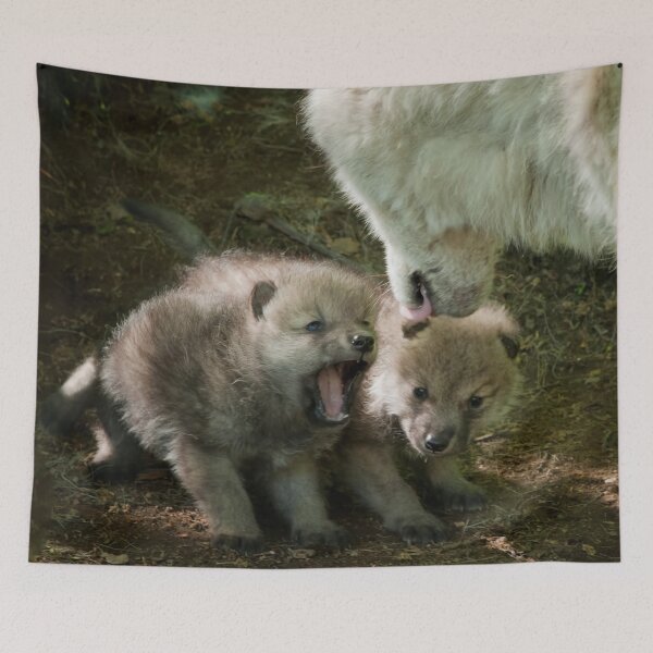 Item preview, Arctic Wolf With Pup designed and sold by WolvesOnly.