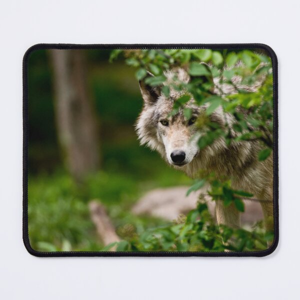 Artikelvorschau, Timber Wolf entworfen und verkauft von WolvesOnly.
