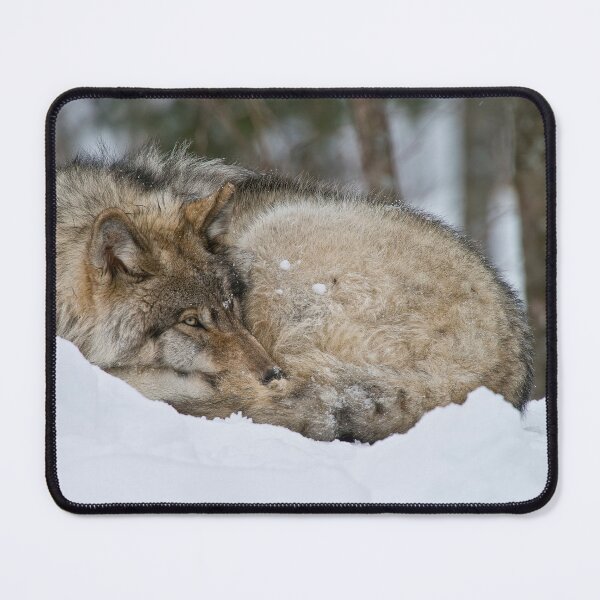 Item preview, Timber Wolf designed and sold by WolvesOnly.