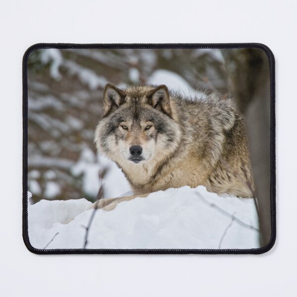 Item preview, Timber Wolf designed and sold by WolvesOnly.