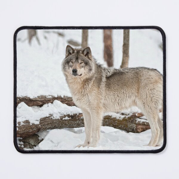 Item preview, Timber Wolf designed and sold by WolvesOnly.