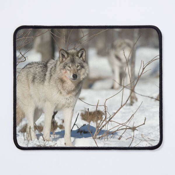 Item preview, Timber Wolf designed and sold by WolvesOnly.