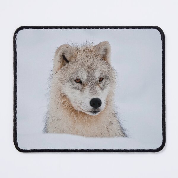 Item preview, Arctic Wolf designed and sold by WolvesOnly.