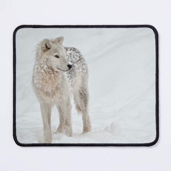 Item preview, Arctic Wolf designed and sold by WolvesOnly.