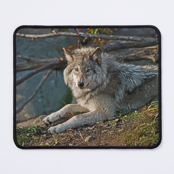 Item preview, Timber Wolf designed and sold by WolvesOnly.