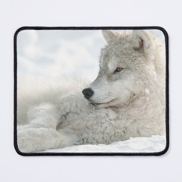 Item preview, Arctic Wolf Pup designed and sold by WolvesOnly.