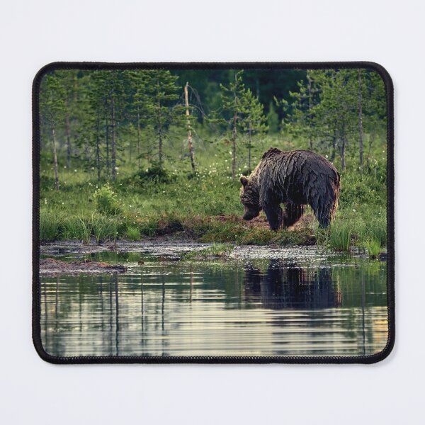 Item preview, Like a wet bear. Brown bear. designed and sold by Jouko Lehto Photography.