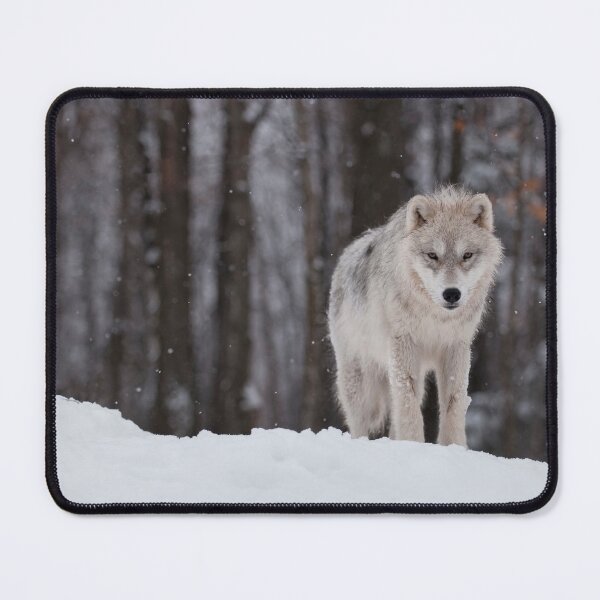 Item preview, Arctic Wolf Pup designed and sold by WolvesOnly.