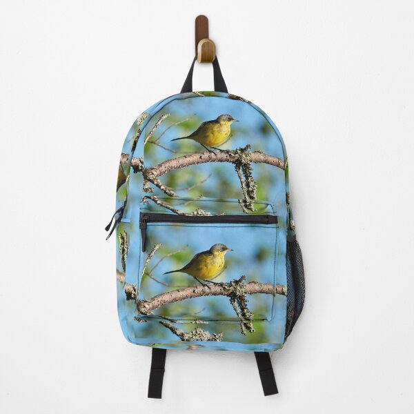 Item preview, Bright and shiny. Western Yellow Wagtail designed and sold by Jouko Lehto Photography.