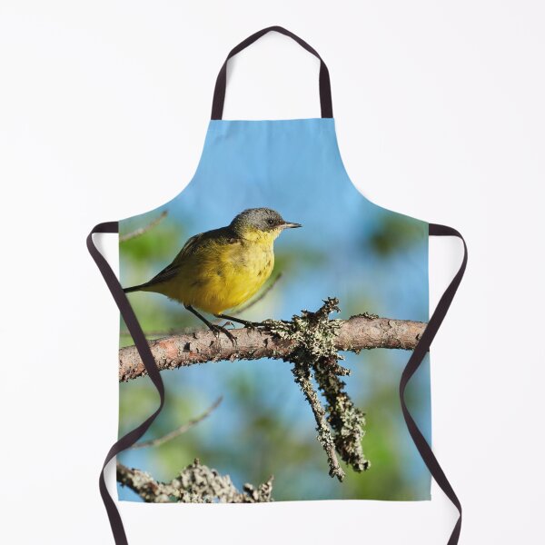 Item preview, Bright and shiny. Western Yellow Wagtail designed and sold by Jouko Lehto Photography.